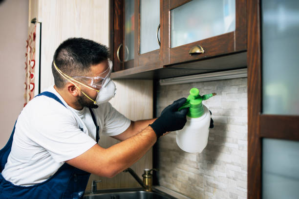 Best Pest Inspection Near Me  in Scotchtown, NY