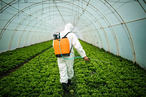 Best Mosquito Control Services  in Scotchtown, NY