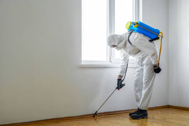 Best Emergency Pest Control  in Scotchtown, NY