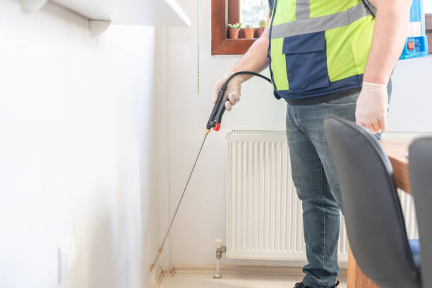 Professional Pest Control in Scotchtown, NY