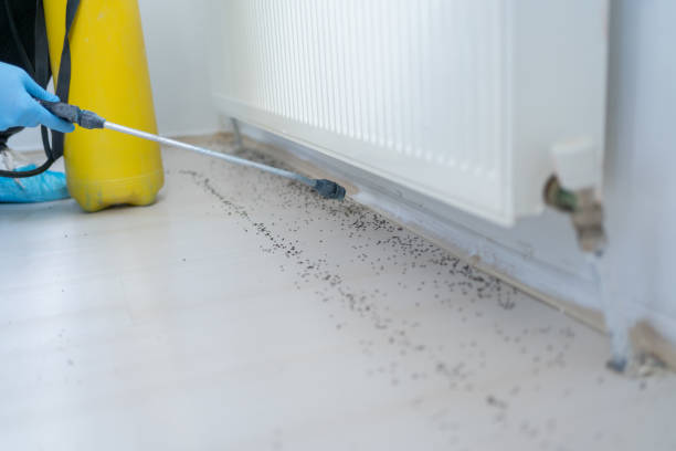 Best Wildlife Control Services  in Scotchtown, NY